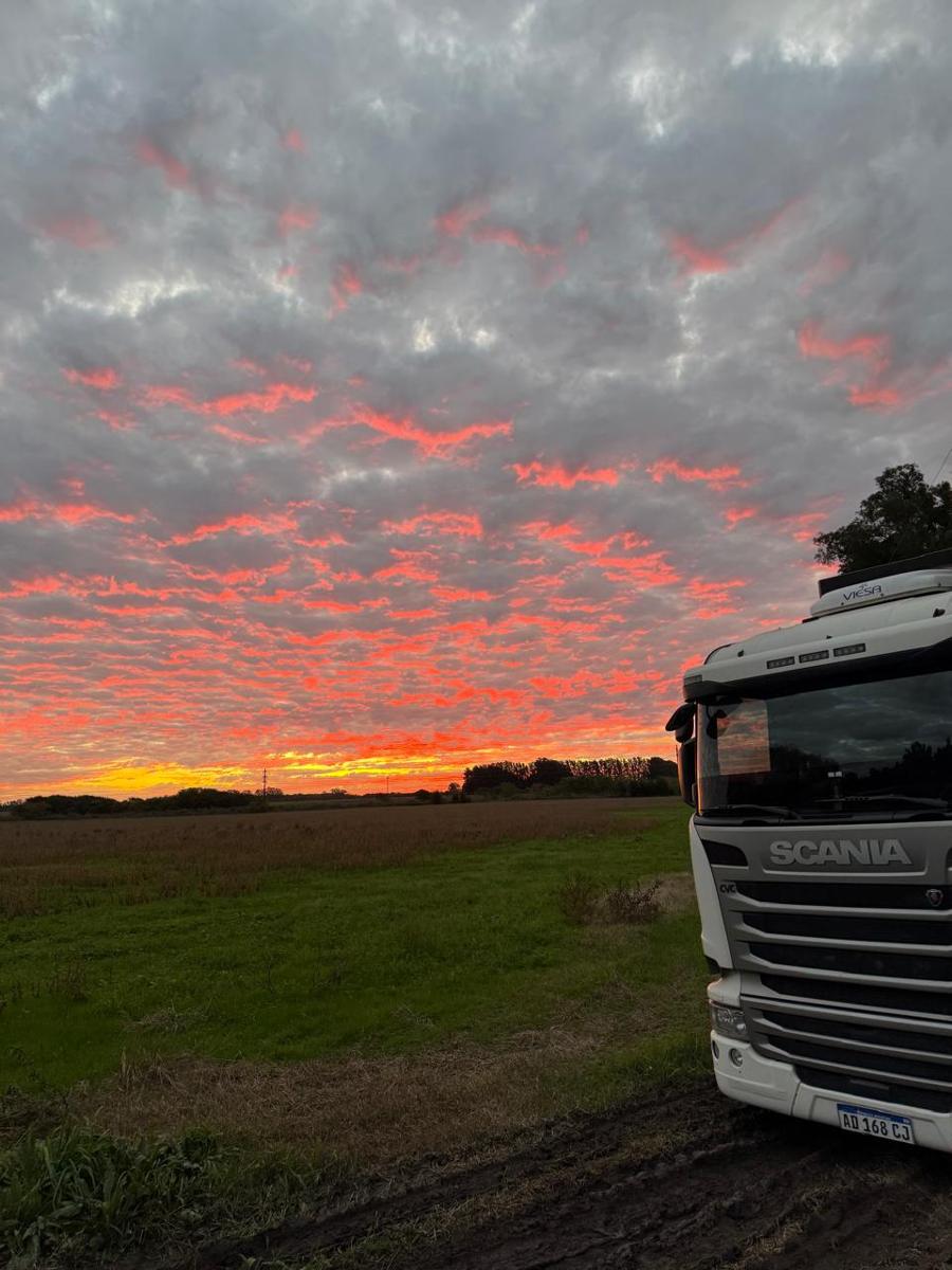 En el campo, al atardecer